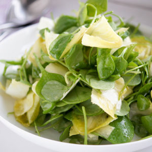 Chicorée (Belgische Endivien) und Postelein Salat