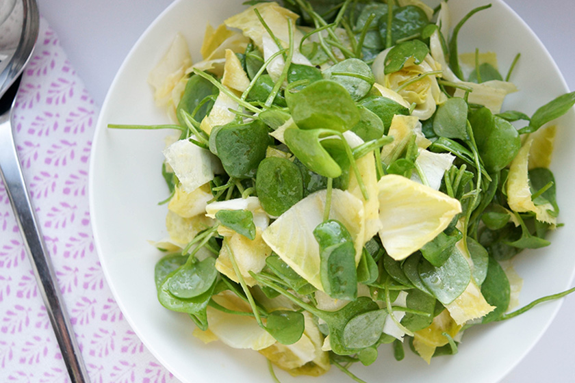 Chicorée (Belgische Endivien) und Postelein Salat 