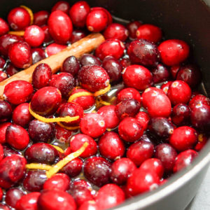 Preiselbeersoße mit Port (Cranberry)