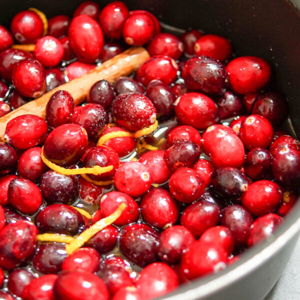 Cranberry Sauce mit Portwein | Rezept | Elle Republic