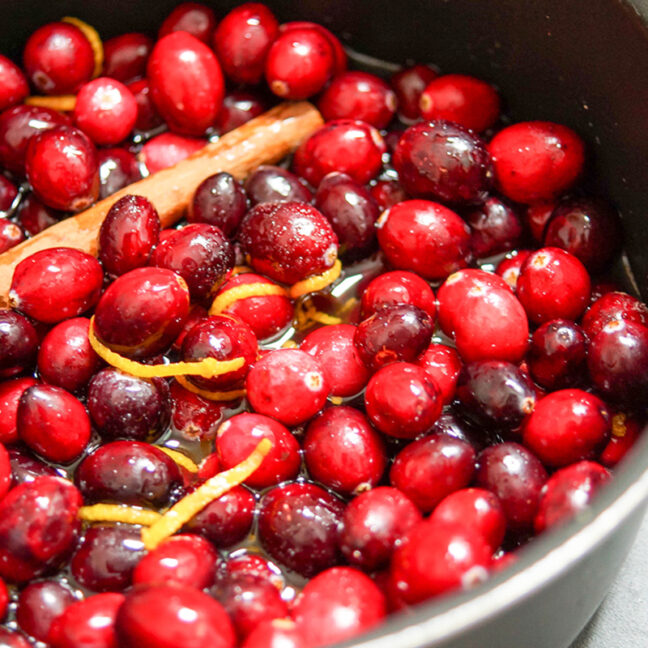 Cranberrysoße mit Portwein Rezept | Elle Republic | Einfach &amp; Gesund