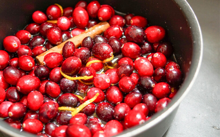 Preiselbeersoße mit Port (Cranberry)