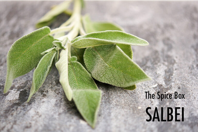 Sage – The Holy Herb