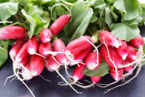 Fresh Radishes von Elle Republic