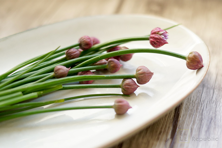 Seasonal Spotlight: Chive Buds & Blossoms