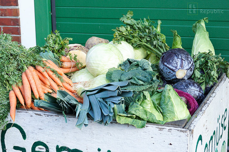 7 Gründe regionale und saisonale Produkte zu kaufen wintergemüse