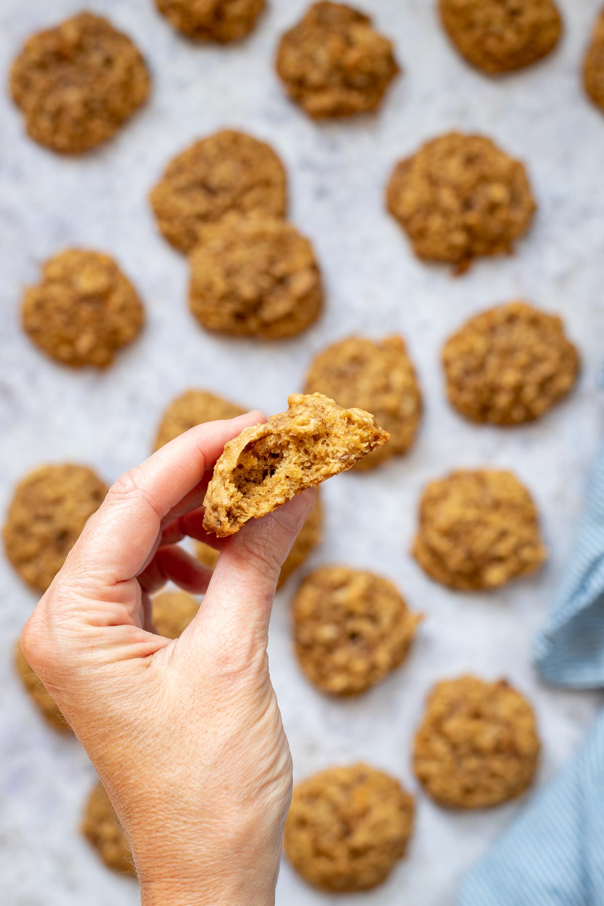 Orange Oatmeal Cookies with Nuts and Coconut