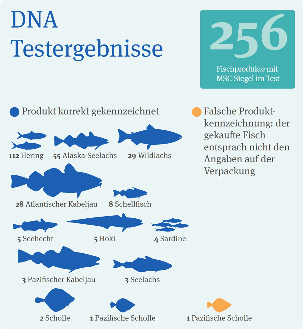DNA-Testergebnisse Fische, Quelle MSC