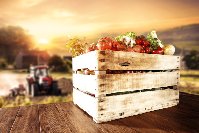 Gemüse und Sonnenuntergang für Mit Slow Food gesünder leben