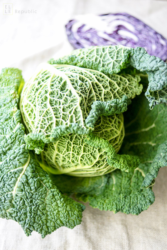 Savoy-Cabbage