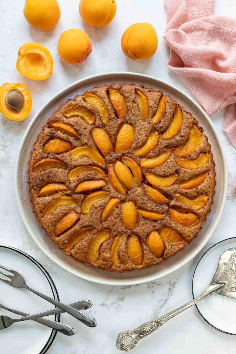 Sommerliche Aprikosentarte servierbereit – goldbraun gebacken und fruchtig belegt.