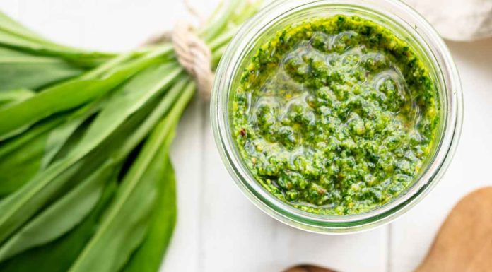 selbstgemachtes Bärlauch Pesto mit Haselnüssen