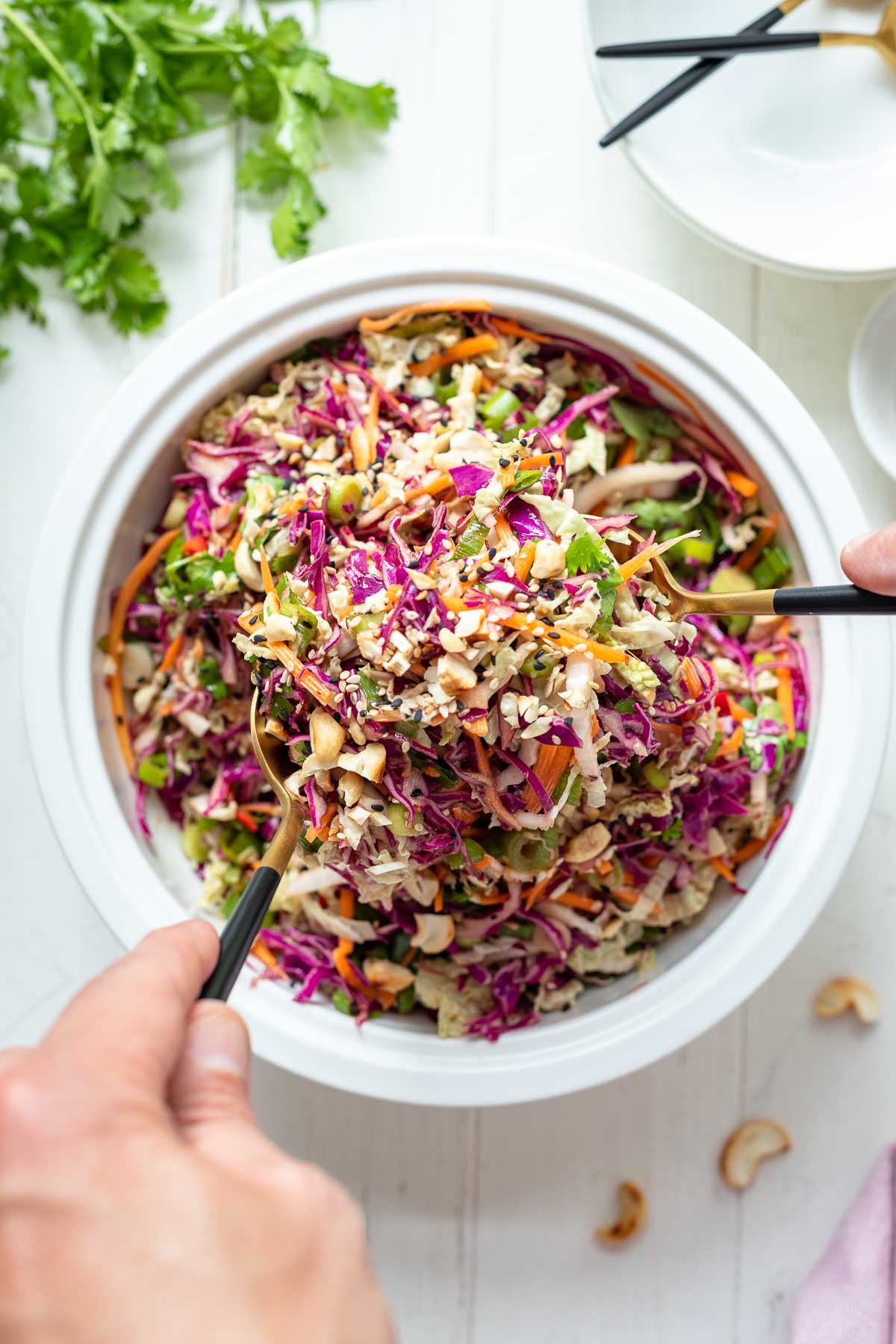 Asian Coleslaw with red and white cabbage, carrot, spring onions and cilantro