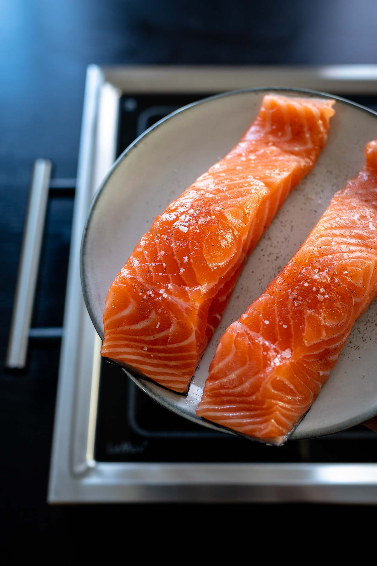 Salmon fillet with ELAG LeMax grill