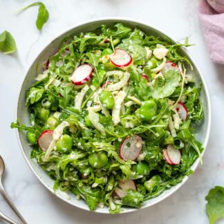 Frischer Dicke Bohnen Salat mit Rucola & Fenchel 