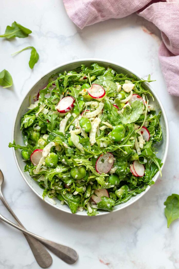 Frischer Dicke Bohnen Salat mit Rucola & Fenchel 