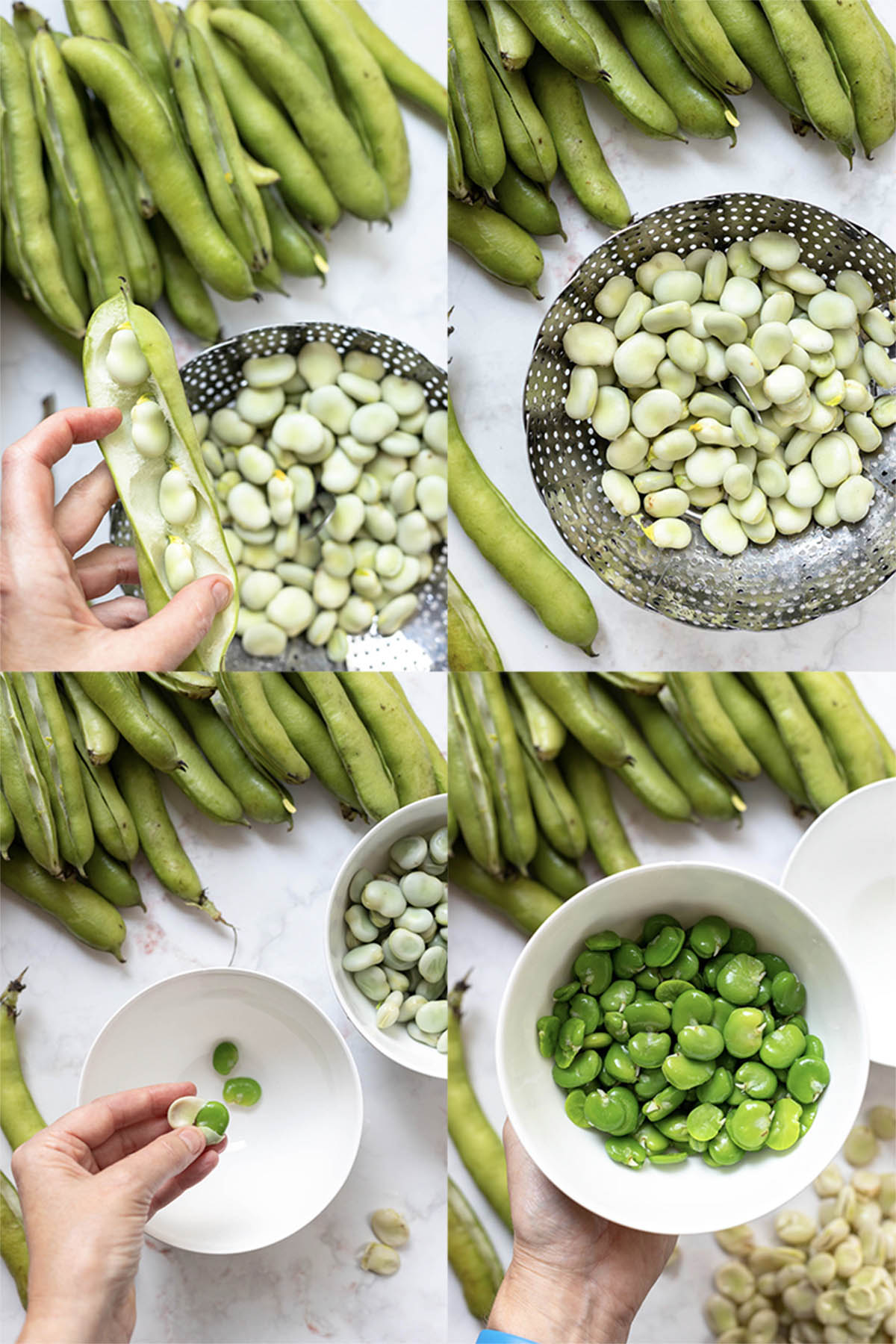Preparing fresh fava beans 