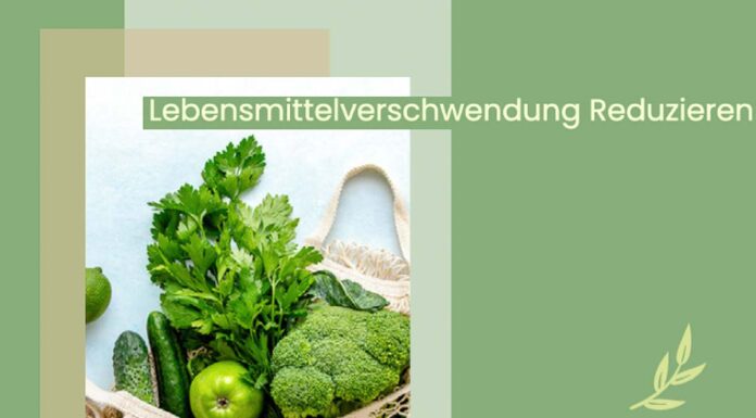 Lebensmittelverschwendung Reduzieren – Fünf gute Tipps