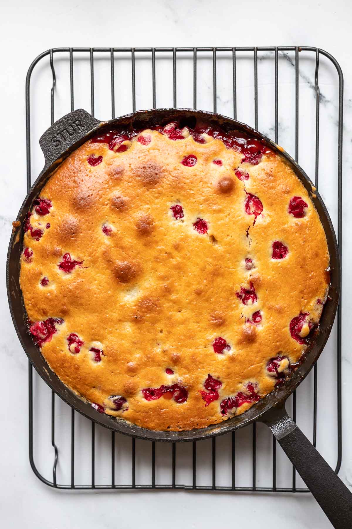 Cranberrykuchen aus dem Ofen