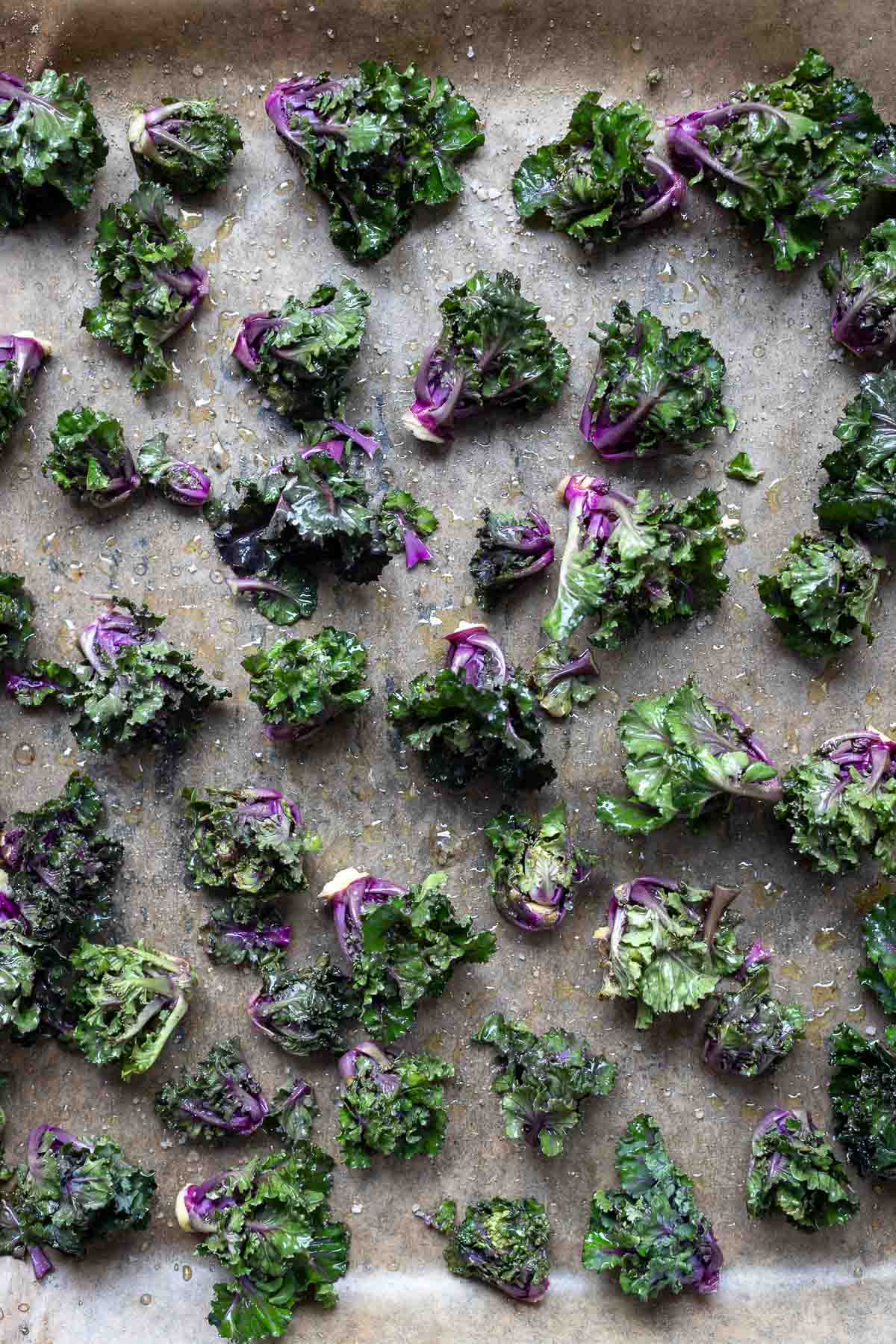 Flower Sprouts (Kalettes) for Roasted Flower Sprouts Salad with Spelt