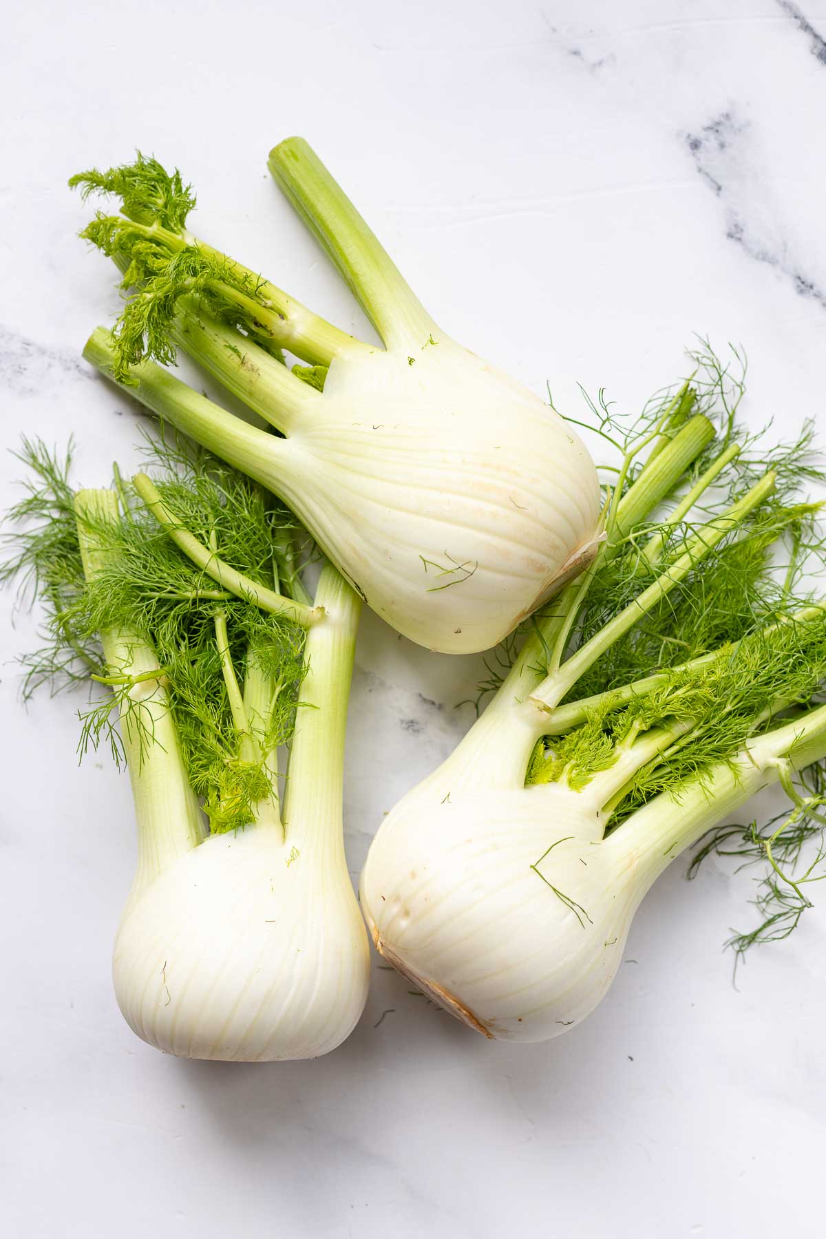 Fennel