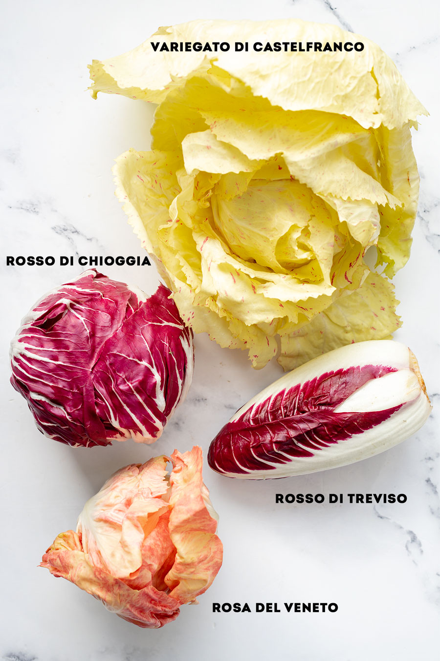 Types of Radicchio