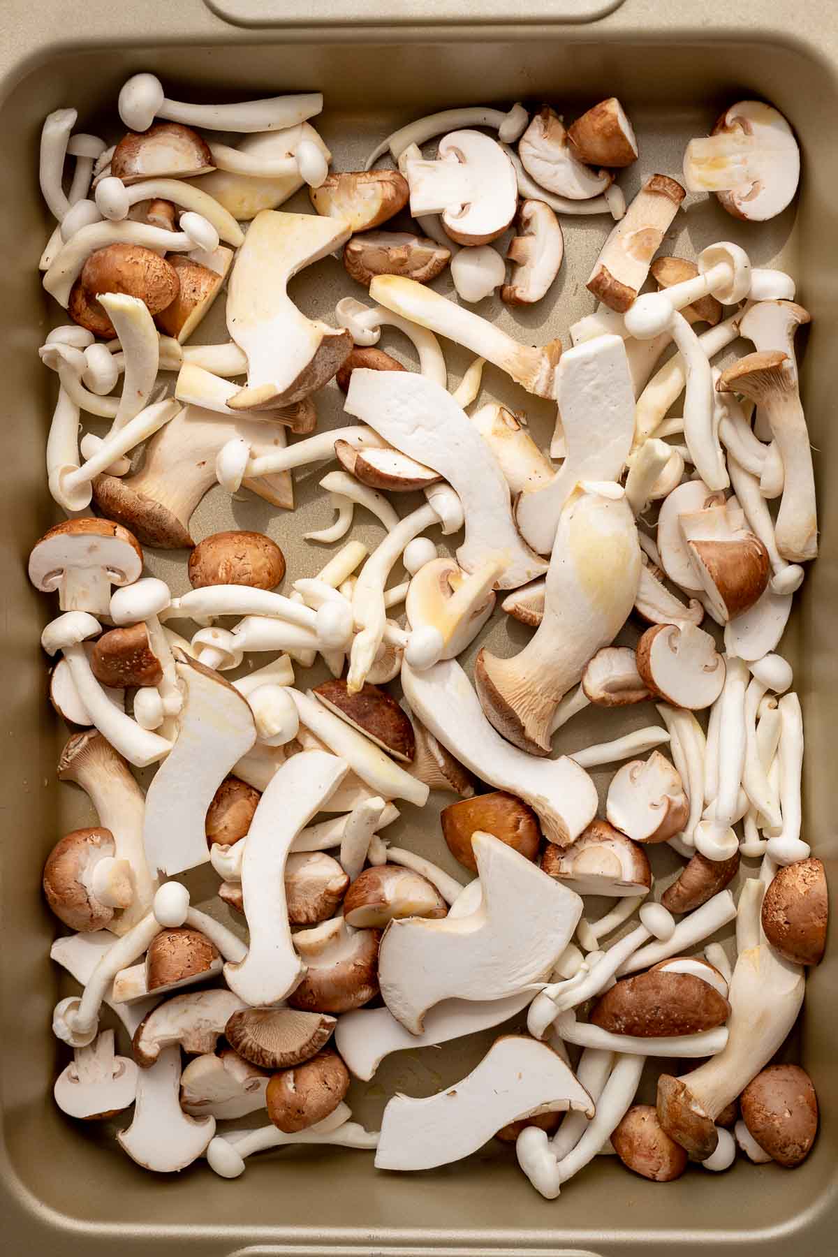 Mixed mushrooms in aroasting pan