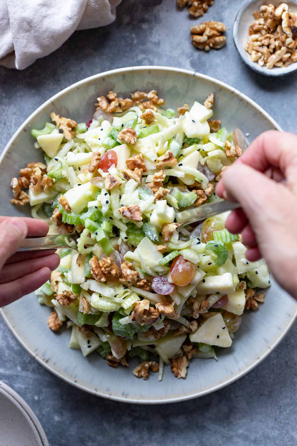 Fenchelsalat mit Apfel , Stangensellerie Rezept und Joghurt-Dressing