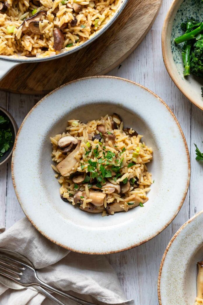 Orzo-Nudel-Pfanne mit Pilzen (One-Pot Rezept)