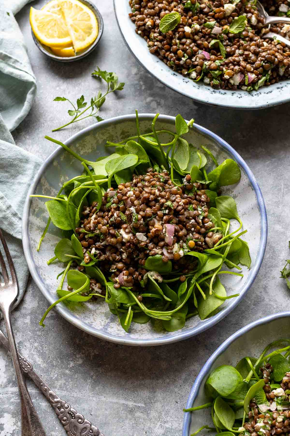Middle Eastern Lentil Salad With Herbs And Feta served over a bed of greens