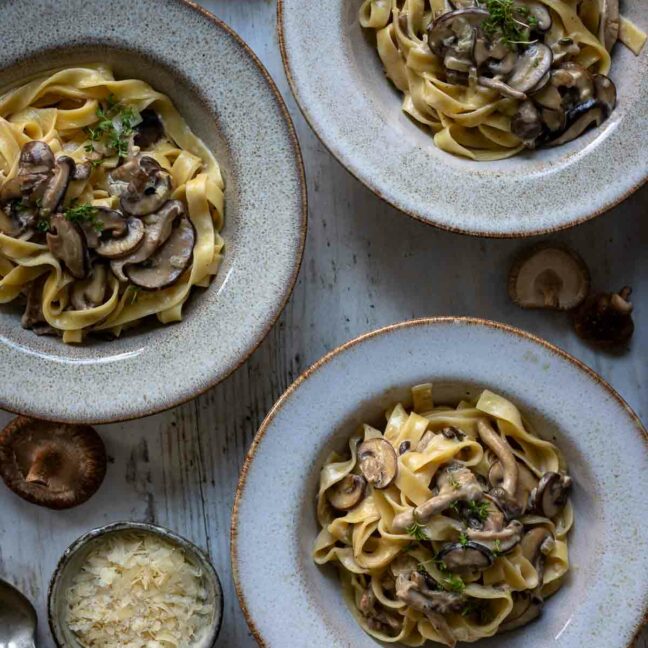 Ein Teller mit Nudeln mit Pilzen in Miso Rahmsoße, zubereitet mit Champignons, Austernpilze, Shiitake-Pilzen und Parmesan, garniert mit frischen Kräutern