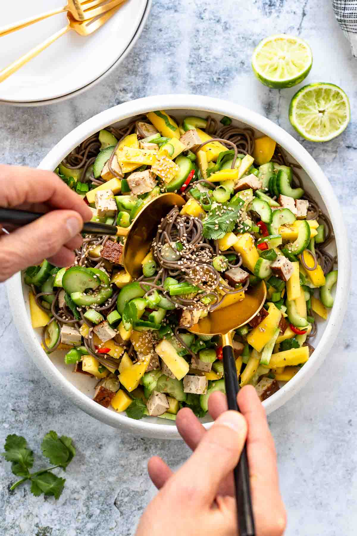 Soba Nudelsalat mit Mango und Tofu | Rezept | Elle Republic Soba Nudelsalat mit Mango und Tofu | Rezept | Elle Republic